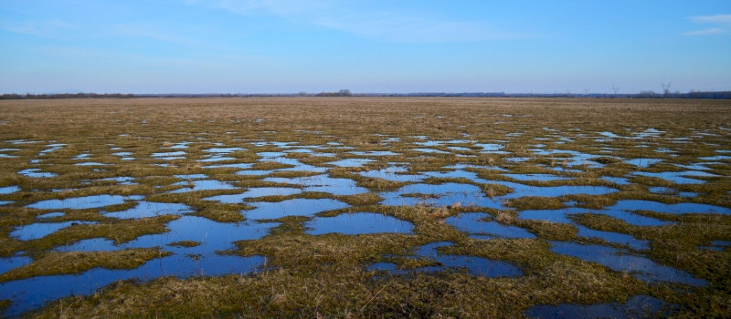 08_kep_soos_gabor_vizes_tavasz