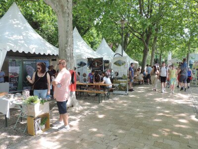                                                                                                                                 