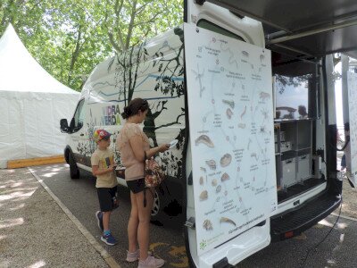                                                                                                                                 