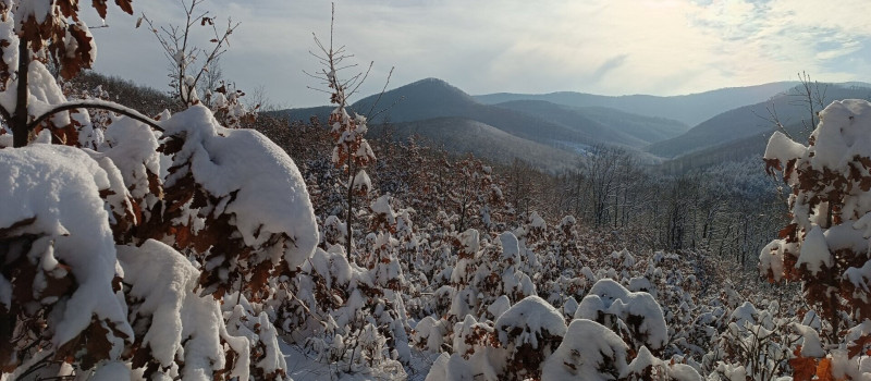 16. Transzbükki Átkelés - 12. Erőss Zsolt Emléktúra