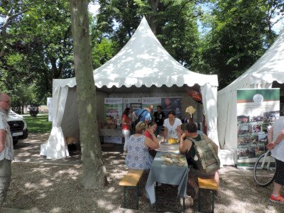                                                                                                                                 