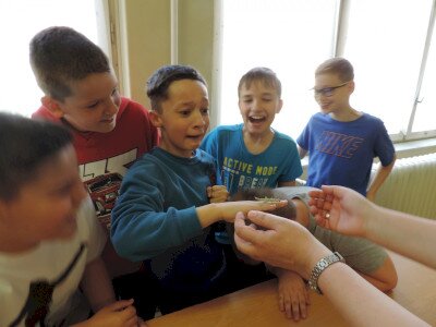                                                                                                                                 