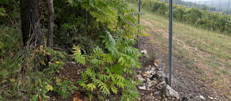 20201002_133201_1920