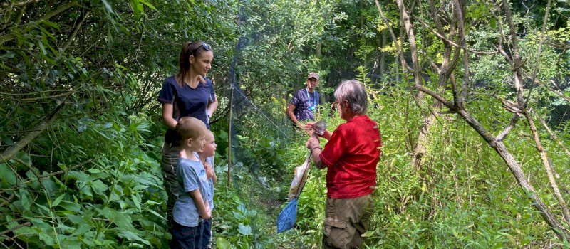 2024_07_20_budair_17_1920