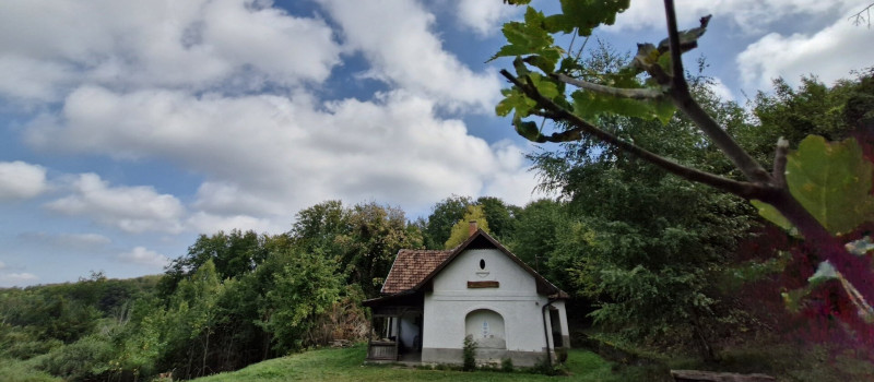 20240911_113827_1920_1080