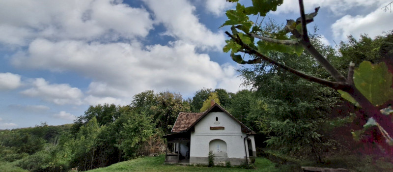 20240911_113827_1920_1080