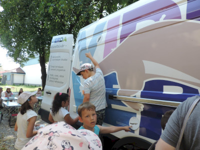                                                                                                                                 