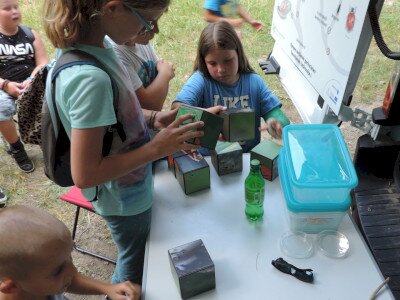                                                                                                                                 