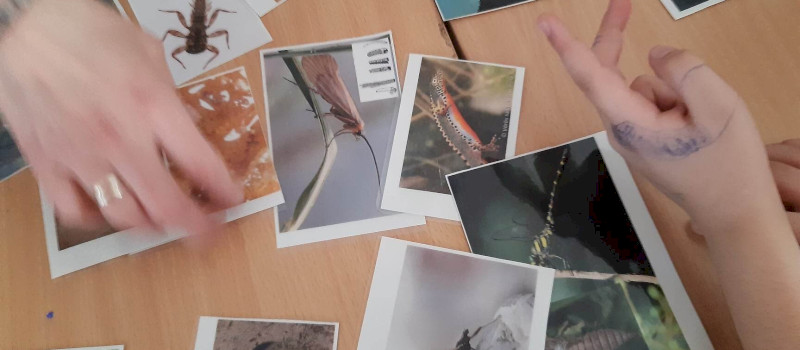 328310851_1642652296188006_81707057869691415_n