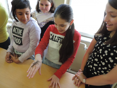                                                                                                                                 