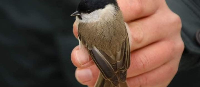 409605431_849257503654062_983214883060192813_n