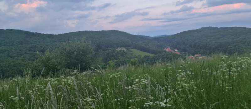 442501689_978254377425694_9162730690980411426_n_1920