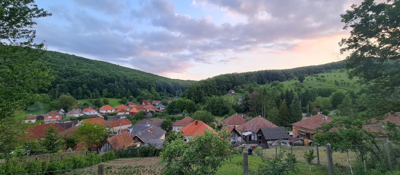 442505716_978254337425698_8996846672817544422_n_1920