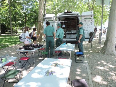                                                                                                                                 