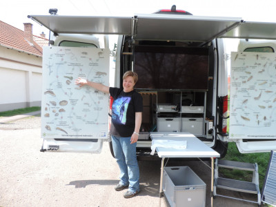                                                                                                                                 