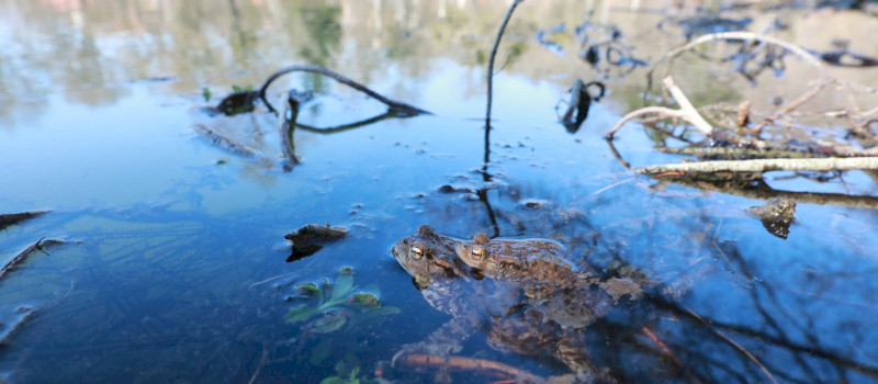 650784326_1373694141467888_1149646672919137939_n