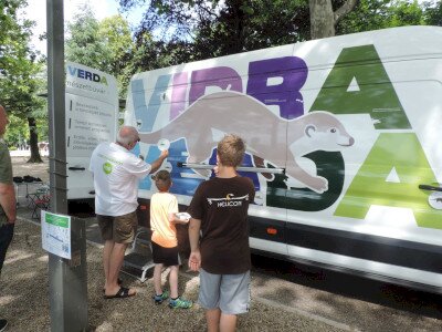                                                                                                                                 