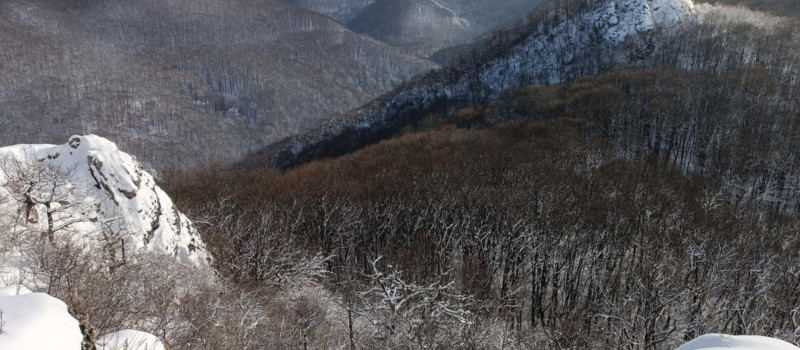 84a6d70d-e111-4d9e-9a0c-1e04af71db0d