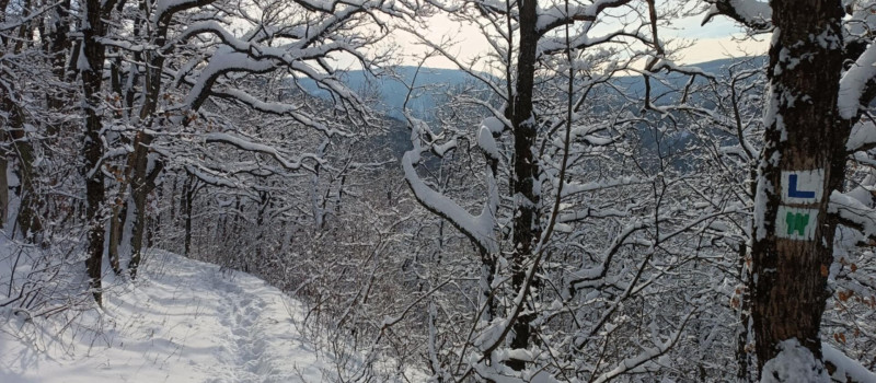 9130d676-6e6b-43df-8908-a7c03b4f62c2