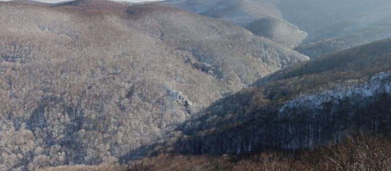 97aa5f38-1a67-405c-a0cb-bbbf2aa89253