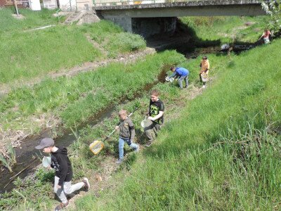                                                                                                                                 