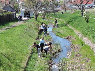                                                                                                                                 