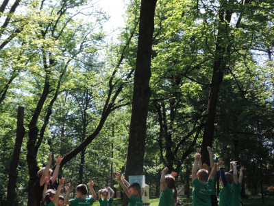                                                                                                                                 