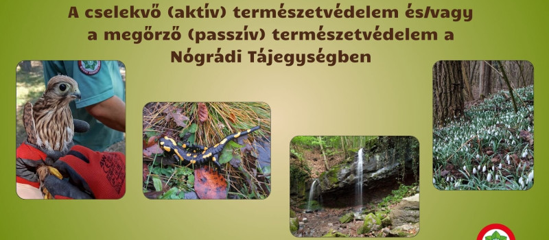 A cselekvő (aktív) természetvédelem és/vagy a megőrző (passzív) természetvédelem a Nógrádi Tájegységben