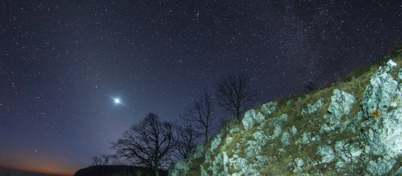 allatovi_feny_a_bukkbol