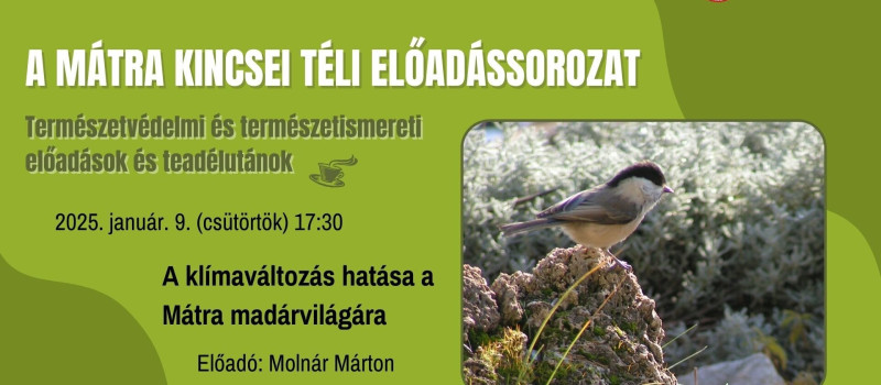 A Mátra Kincsei téli előadássorozat - A klímaváltozás hatása a Mátra madárvilágára