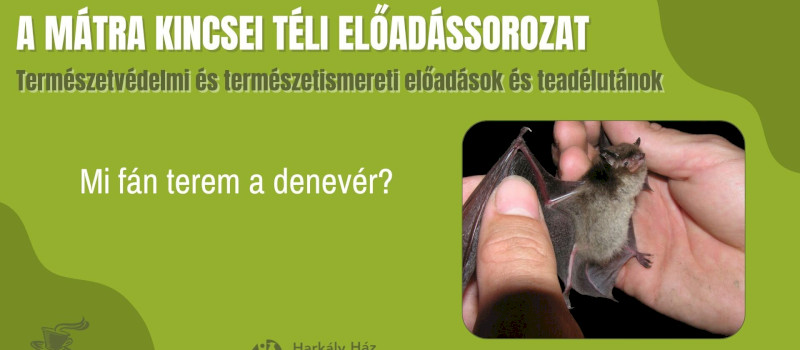 A Mátra Kincsei téli előadássorozat - Mi fán terem a denevér?