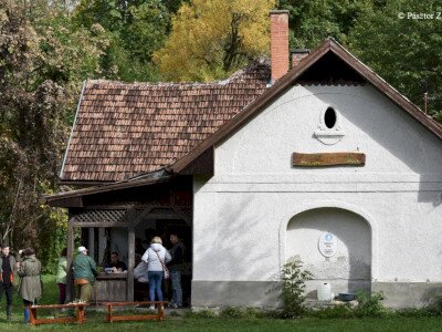Pasztor Zoltan_240930_1