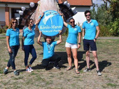 ASCII                                       