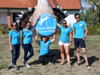 ASCII                                       