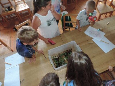                                                                                                                                 