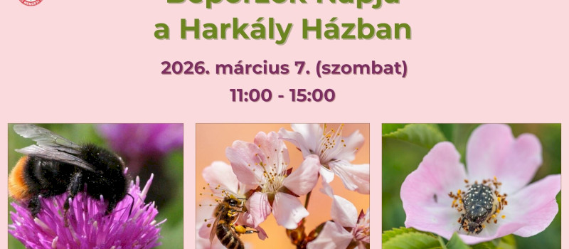 Beporzók Napja a Harkály Házban