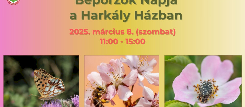 Beporzók Napja a Harkály Házban