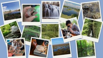 BETELT - Vizes Élőhelyek Világnapja