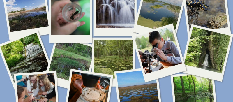 BETELT - Vizes Élőhelyek Világnapja