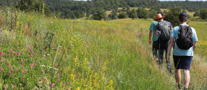 bolygotura_tanosveny_4