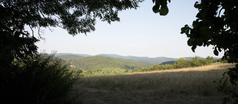 bolygotura_tanosveny_6