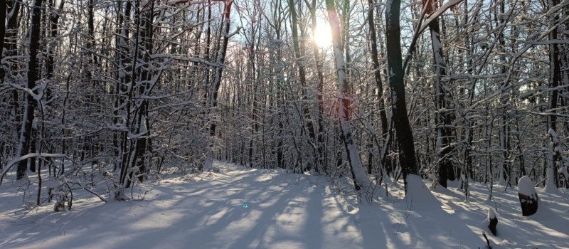 c74602c4-7d01-45cd-8c2c-ef2dedf10970