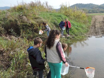                                                                                                                                 