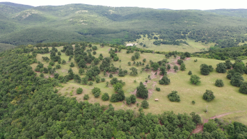 Cserépfalu - Mész-tető földvár tanösvény