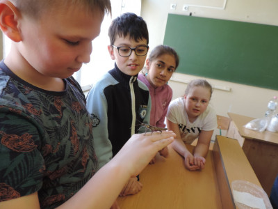                                                                                                                                 