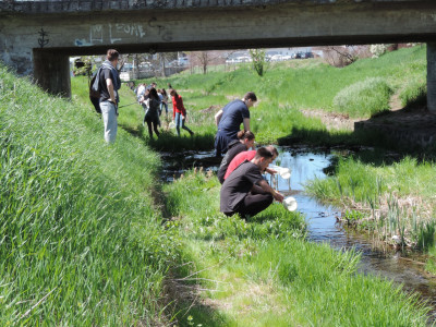                                                                                                                                 