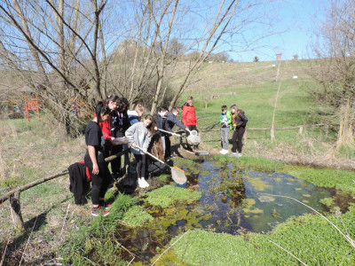                                                                                                                                 