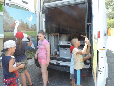                                                                                                                                 