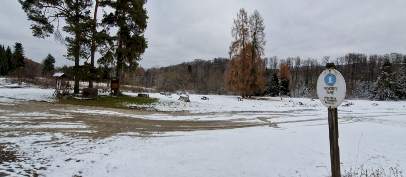 Decemberi madárgyűrűzés Jávorkúton