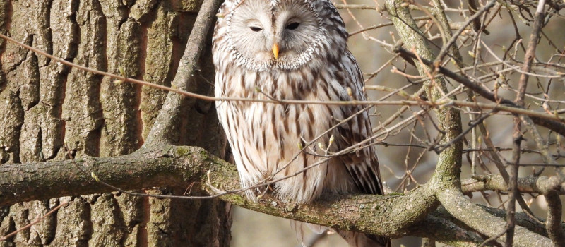 DSCN0416_Molnár Márton